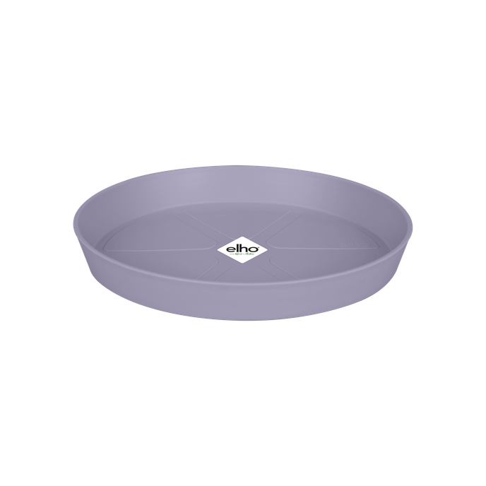 loft urban saucer round 24cm lavender lilac